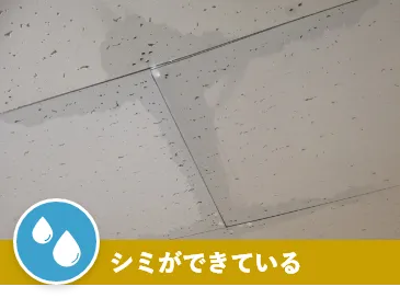 シミができている