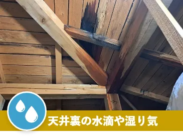 天井裏の水滴や湿り気