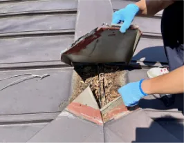 既存屋根の点検・下地確認